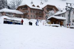 Alta Val Badia (146), Chiara R (43), Sci Alpino (290)